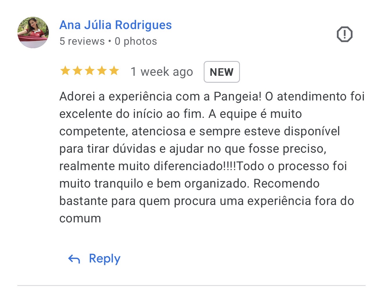 Avaliação no Google — Ana Júlia Rodrigues